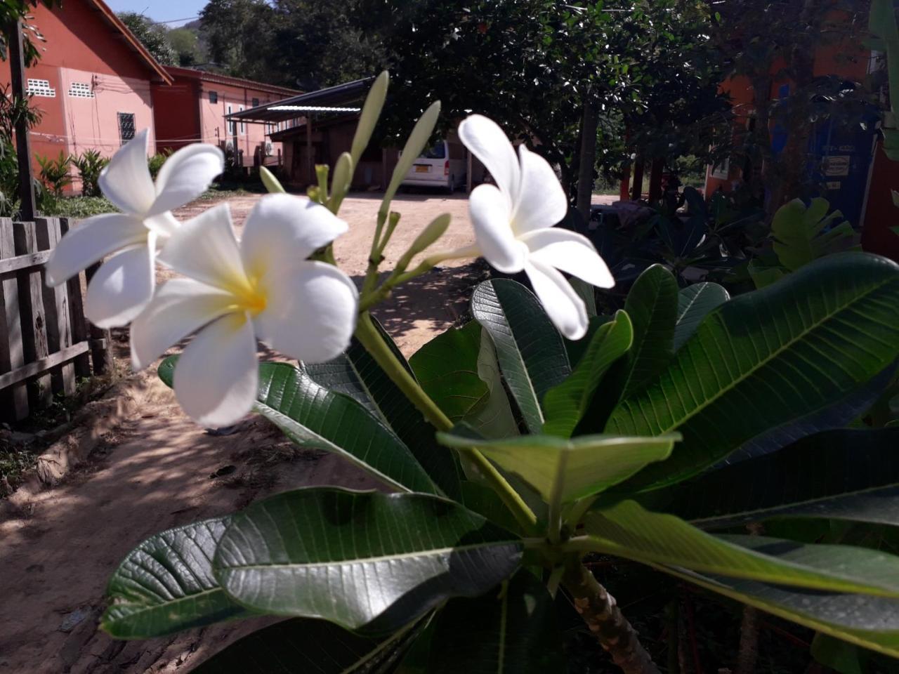 מלון קו לנטה Lanta Lucky House מראה חיצוני תמונה