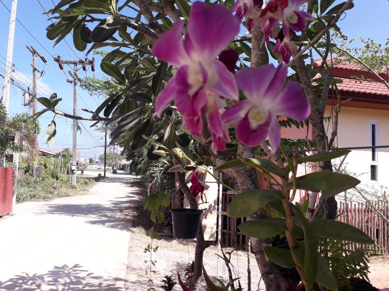 מלון קו לנטה Lanta Lucky House מראה חיצוני תמונה